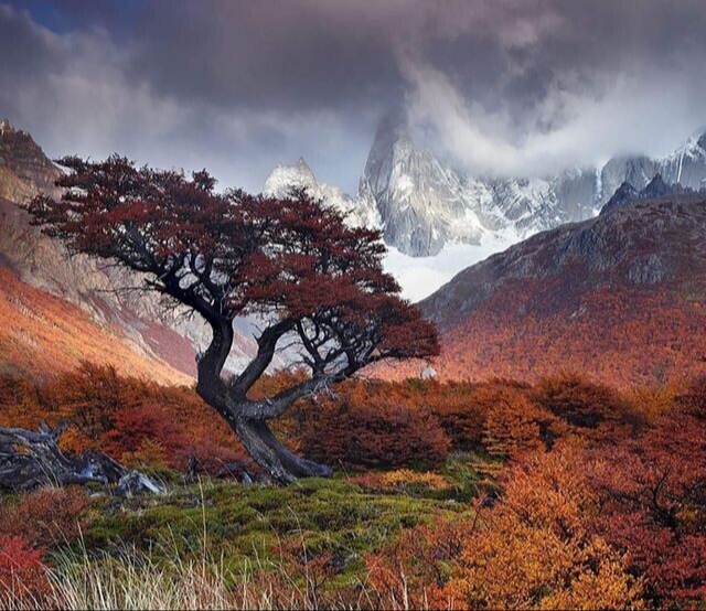 Осенний день